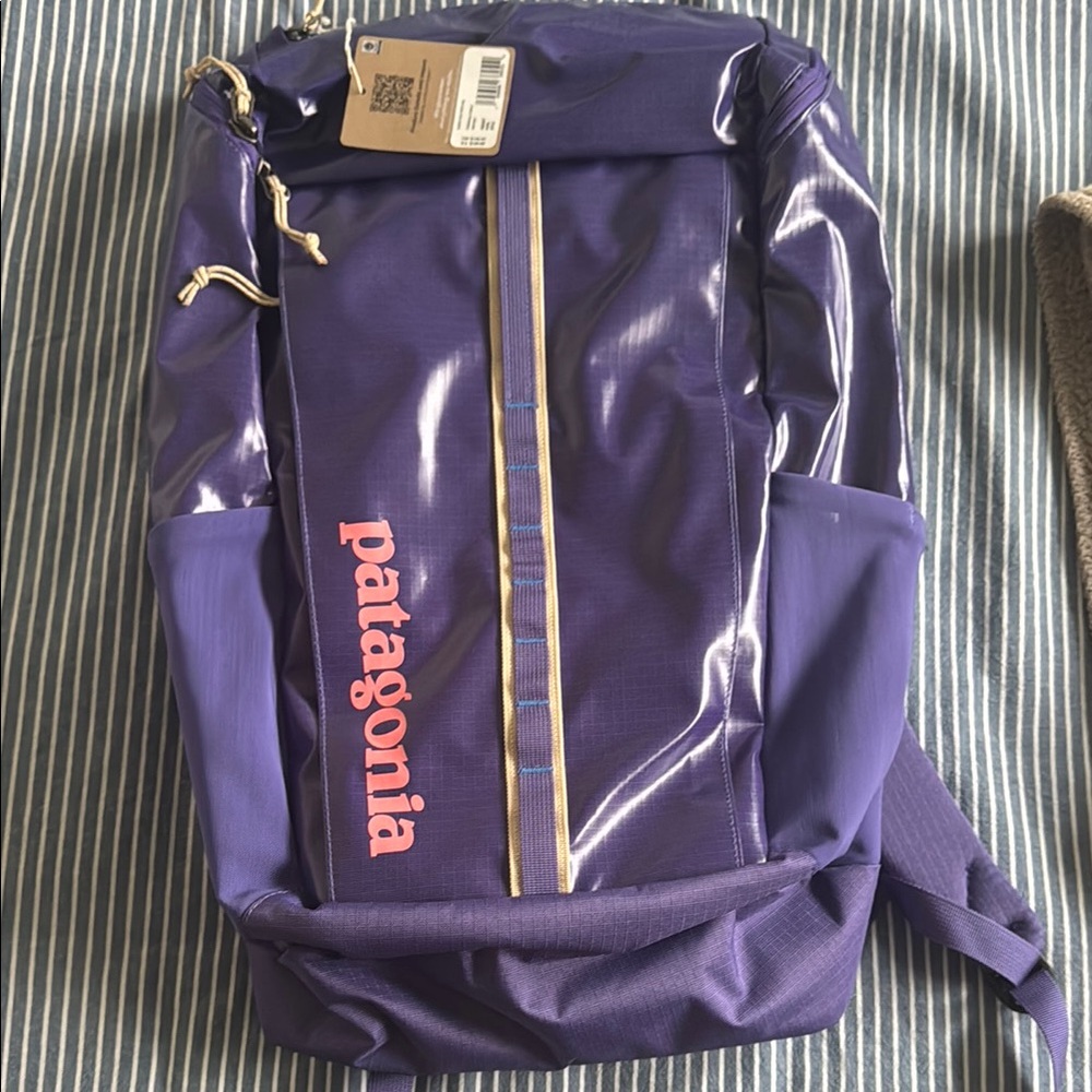 Patagonia Purple Backpack